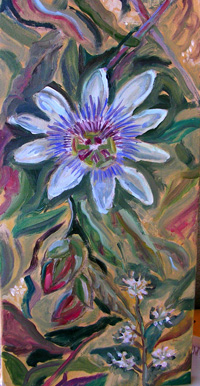 Passiflora