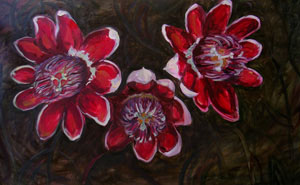 Passiflore